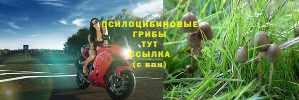 MESCALINE Магадан