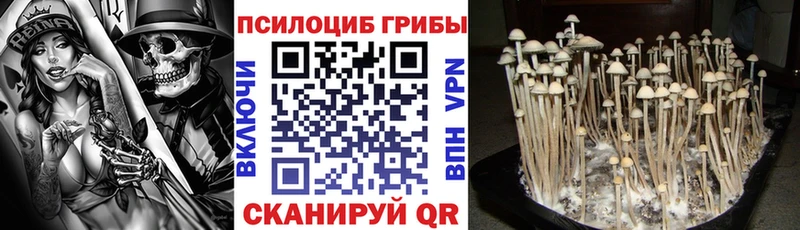 Псилоцибиновые грибы мицелий  Плавск 